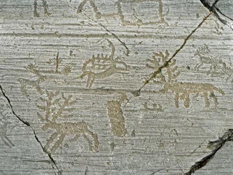 Prehistoria, civilización de los camunos, arte rupestre: roca funeraria con representación de ciervos. Periodo entre el Neolítico y la Edad del Bronce. Roca. 1. Capo di Ponte, Parco nazionale delle incisioni rupestri di Naquane, Valcamonica, Val Camonica