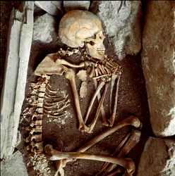 Prehistoria: esqueleto femenino de la cueva de Arene Candide (Finale Ligure). Edad de Piedra, Neolítico. Génova, Museo de Arqueología Ligure