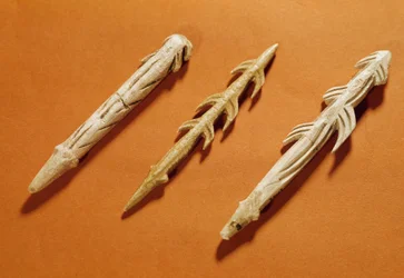 Prehistoria: arpones de asta de reno utilizados para pescar. Realizados durante el período Magdaleniense. 17000-11000 a. C. Saint-Germain-en-Laye, Museo de Arqueología Nacional.