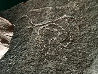Prehistoria, arte rupestre: una roca con la representación de un ganado. Estilo Tazina. Edad de Piedra 5000-2000 a.C. Taghit, Alto Plateau del Hoggar (Ahaggar), Argelia