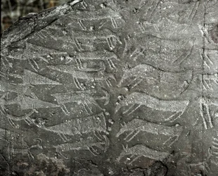 Prehistoria, arte rupestre: roca grabada con representaciones de dagas y bueyes. Edad del Cobre. Periodo eneolítico (calcolítico). Roca n.º 1. Cemmo (Brescia), Parque Arqueológico Nacional de los Peñascos de Cemmo, Italia