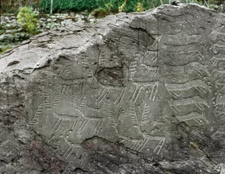 Prehistoria, arte rupestre: roca funeraria con representaciones de ciervos y ganado bovino. Edad del Cobre. Período eneolítico (calcolítico). Roca n.º 1. Cemmo (Brescia), Parco Archeologico Nazionale dei Massi di Cemmo, Italia
