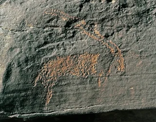 Prehistoria, arte rupestre: roca funeraria de la representación de un antílope. Edad de Piedra 5000-2000 a.C. Taghit, Alto plateau del Hoggar (Ahaggar), Argelia