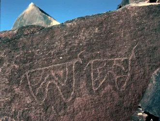 Prehistoria, arte rupestre: roca funeraria de la representación de ganado. Estilo Tazina. Edad de Piedra 5000-2000 a.C. Taghit, Alto plateau del Hoggar (Ahaggar), Argelia