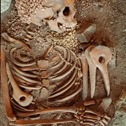 Prehistoria: esqueleto y ajuar funerario de adolescentes, llamados el joven príncipe de la cueva de Arene Candide, Finale Ligure: collar de conchas, cuerno de ciervo y sílex. Edad de Piedra, Paleolítico superior. Génova, Museo di archeologia Ligure