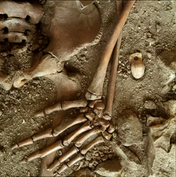 Prehistoria: sepultura de adolescente. Vista detallada del ajuar funerario de la cueva de Arene Candide (Finale Ligure), Liguria. Paleolítico Superior, 24000 a.C. Génova, museo di archeologia ligure