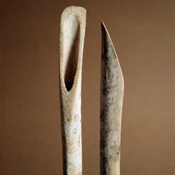 Prehistoria: herramientas para quitar la corteza de huesos de cabra y oveja de la Necrópolis de Arene Candide (Finale Ligure), Liguria. Neolítico Medio, Edad de Piedra. Génova, museo di archeologia ligure
