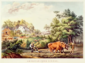 Garza Imperial, de 