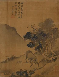 Pastor tirando de un búfalo de agua