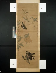pájaros y rama