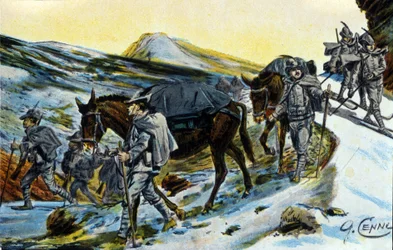 Primera Guerra Mundial: grupo de cazadores alpinos italianos en reconocimiento con sus mulas en 1915. Ilustración de Quinto Cenni (1845-1917)