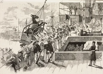 Mula siendo izada al barco Príncipe Amedeo, expedición italiana en el Mar Rojo, Italia, grabado de un dibujo de Quinto Cenni y un boceto de M Dal Don, de L