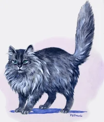 Gato persa, de "Treasure