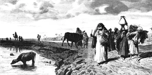 Una calzada en el Delta, en el momento de la inundación, 1880