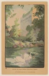 Hotel Plaza desde Central Park