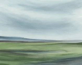 Paisaje verde y sereno