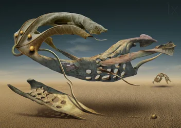 Formas flotantes del desierto