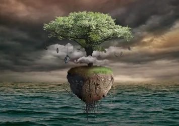 La isla del árbol del dinero flotante