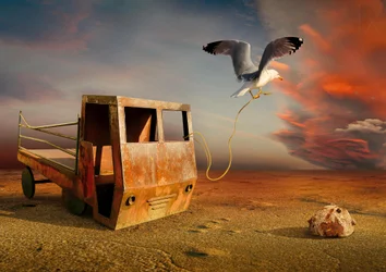 Una gaviota tirando de un camión oxidado