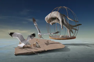 Las gaviotas escapan de una jaula surrealista