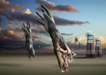 Manos surrealistas del desierto