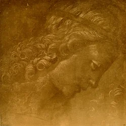 Estudio de una cabeza de ángel