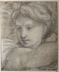 Cabeza de un Ángel, c. 1520