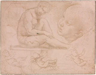 Estudios de una mujer sentada, cabeza de niño y tres estudios de un bebé, c. 1507-8