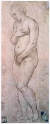 Estudio de Venus