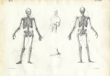 Ser Humano, 1863-79