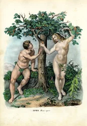 Razas humanas, 1863-79