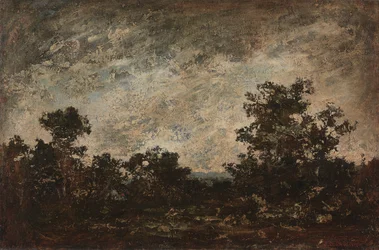 Campamento indio, c.1890 (óleo sobre lienzo)