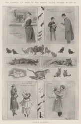 La Exposición Nacional de Gatos en el Crystal Palace, 29 y 30 de octubre