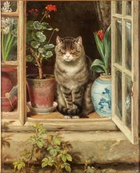 Parpadeando en el Sol, 1881