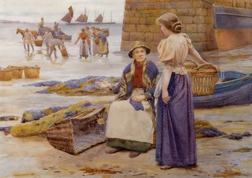 Cosechadores del Mar