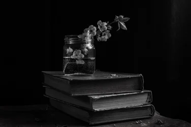 Flores melancólicas sobre libros