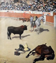 Toros