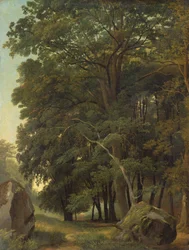 Un paisaje arbolado