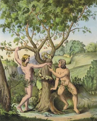Eva presentando la manzana del Árbol del Conocimiento del Bien y del Mal a Adán