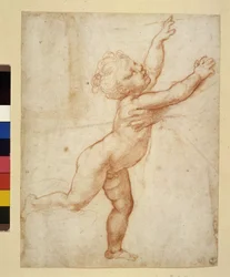 Estudio de niño
