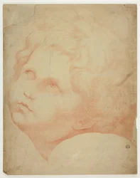 Cabeza de niño, mirando hacia arriba