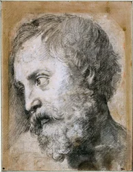 Cabeza de un Apóstol Estudio para la Transfiguración, 1519-1520