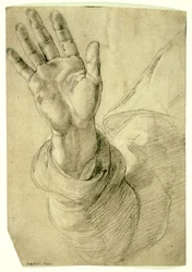Mano derecha levantada, con la palma hacia afuera: Estudio para San Pedro, 1518-20