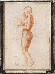 Figura femenina joven de perfil, ca 1517