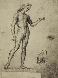 Estudio de desnudo masculino, dibujo de Rafael. Gallerie dell