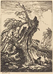 Estudio de un árbol
