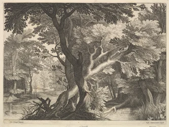 Paisaje boscoso