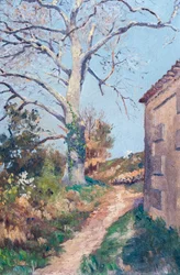 Sendero con esquina de casa y plátano, 18-21 de marzo