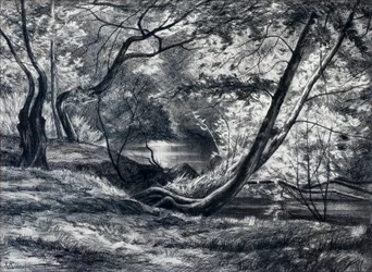 Sotobosque con río (carbón)