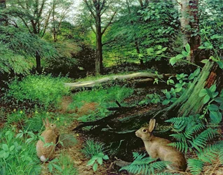 In the Woods - A Midsummer Evening (óleo sobre tabla)